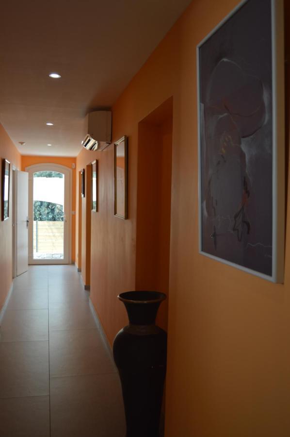 Villa Rasoa Chambre Libellule 阿格德 外观 照片